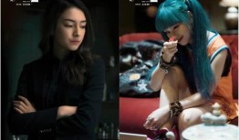 黑客爆料警花视频播放,黑客揭秘惊人真相